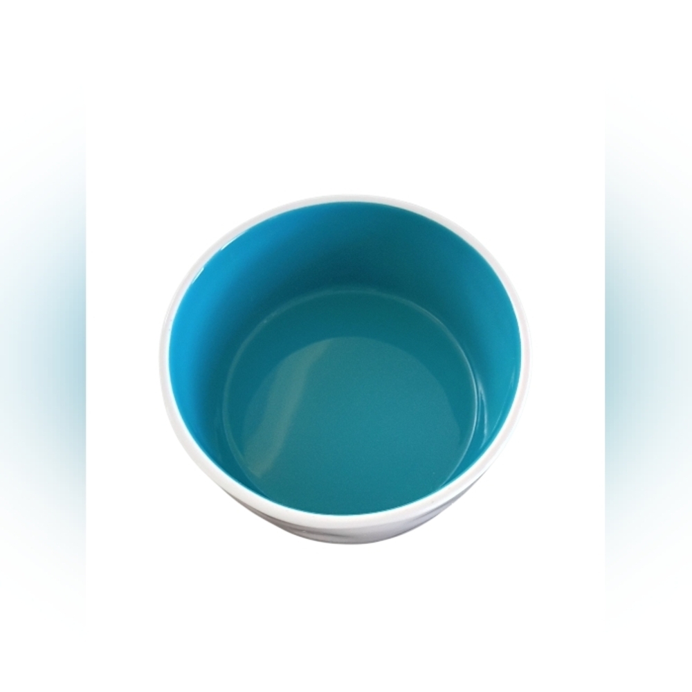 Rae Dunn Ceramic Mug And Dog Bowl Bundle - Picture 5 of 9